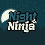 Ninja de nuit